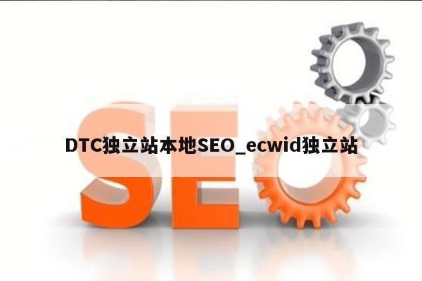 DTC独立站本地SEO_ecwid独立站