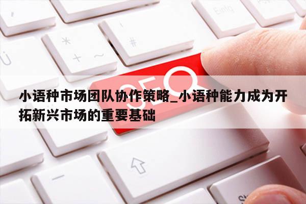 小语种市场团队协作策略_小语种能力成为开拓新兴市场的重要基础