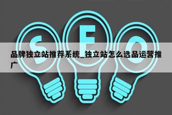 品牌独立站推荐系统_独立站怎么选品运营推广