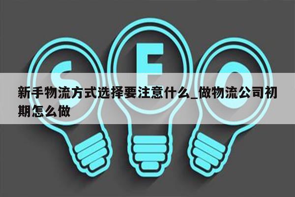 新手物流方式选择要注意什么_做物流公司初期怎么做