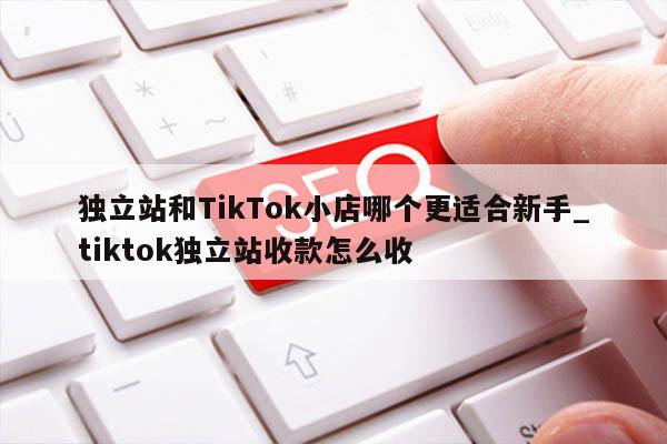 独立站和TikTok小店哪个更适合新手_tiktok独立站收款怎么收