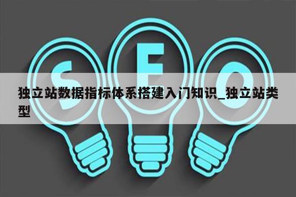 独立站数据指标体系搭建入门知识_独立站类型