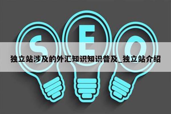 独立站涉及的外汇知识知识普及_独立站介绍