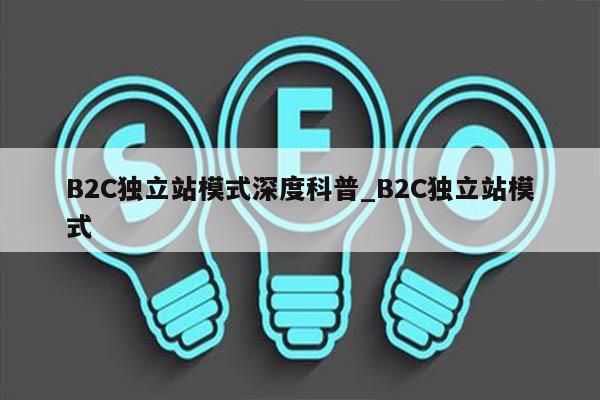 B2C独立站模式深度科普_B2C独立站模式