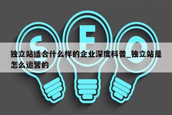 独立站适合什么样的企业深度科普_独立站是怎么运营的