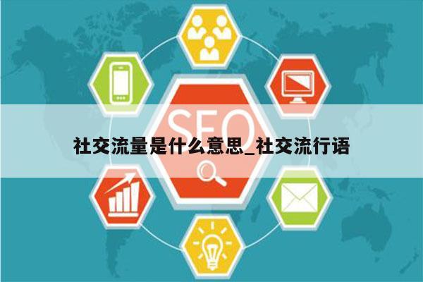 社交流量是什么意思_社交流行语