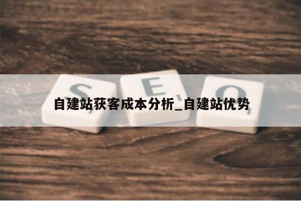 自建站获客成本分析_自建站优势