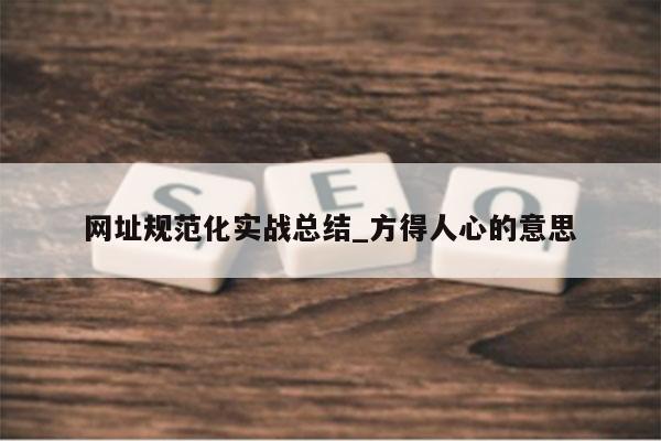 网址规范化实战总结_方得人心的意思