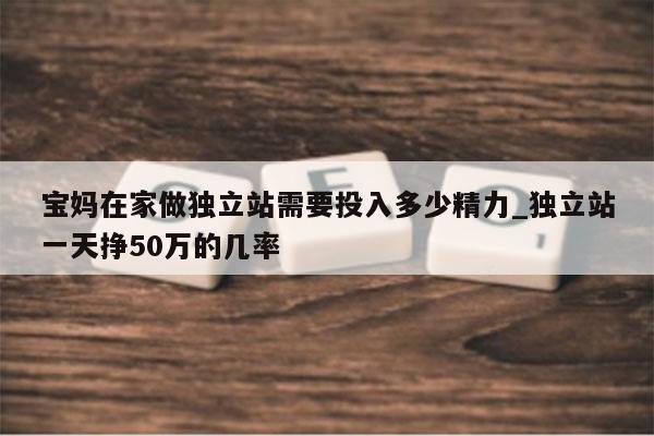 宝妈在家做独立站需要投入多少精力_独立站一天挣50万的几率