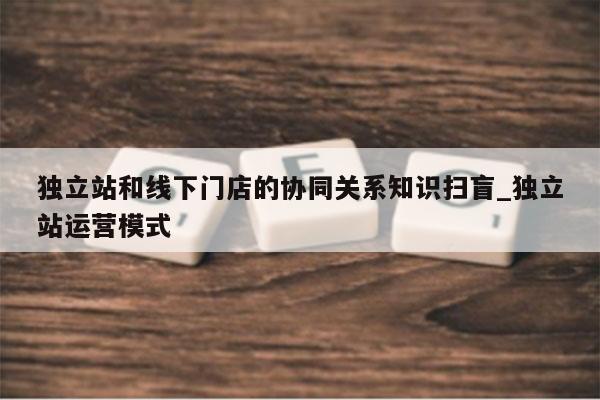 独立站和线下门店的协同关系知识扫盲_独立站运营模式