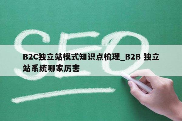 B2C独立站模式知识点梳理_B2B 独立站系统哪家厉害