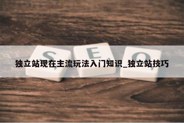 独立站现在主流玩法入门知识_独立站技巧