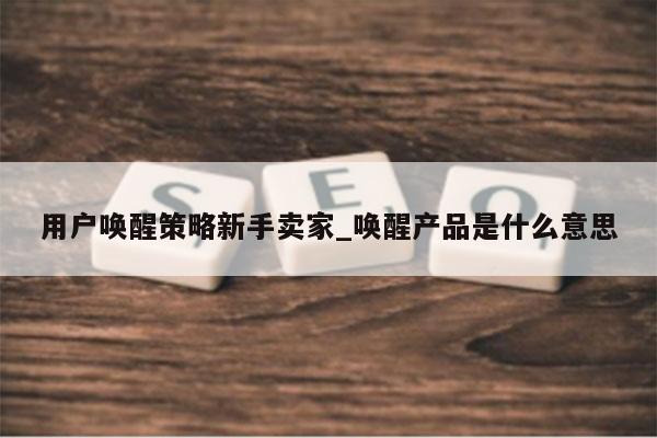 用户唤醒策略新手卖家_唤醒产品是什么意思