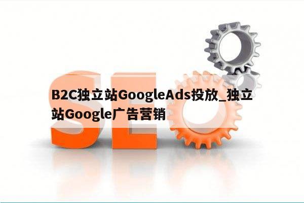 B2C独立站GoogleAds投放_独立站Google广告营销