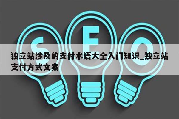 独立站涉及的支付术语大全入门知识_独立站支付方式文案