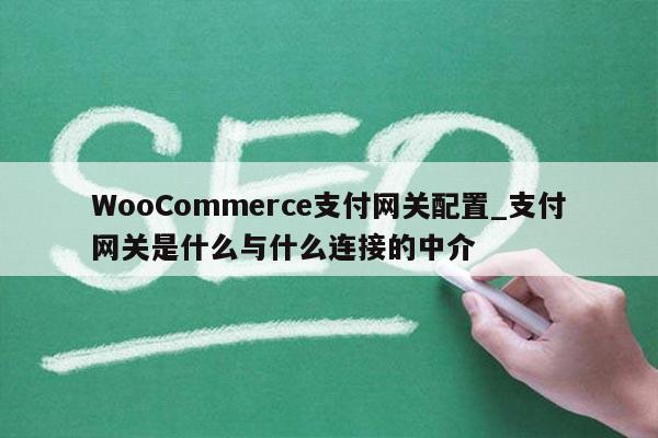 WooCommerce支付网关配置_支付网关是什么与什么连接的中介