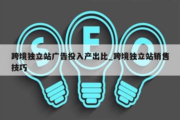 跨境独立站广告投入产出比_跨境独立站销售技巧