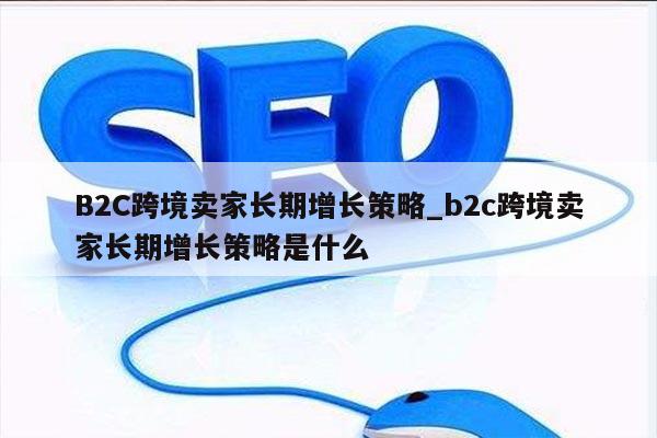 B2C跨境卖家长期增长策略_b2c跨境卖家长期增长策略是什么