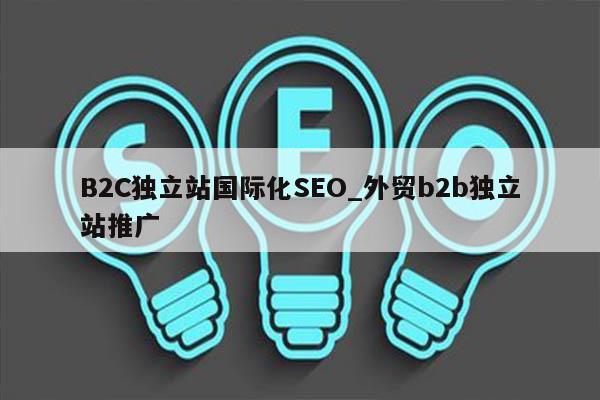 B2C独立站国际化SEO_外贸b2b独立站推广