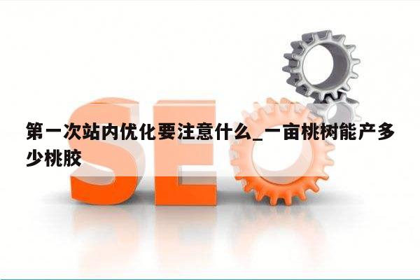 第一次站内优化要注意什么_一亩桃树能产多少桃胶