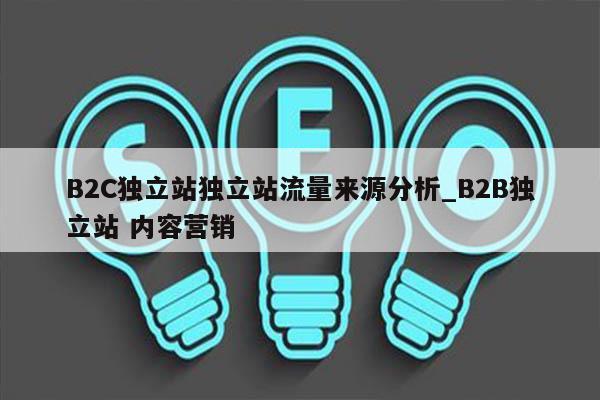 B2C独立站独立站流量来源分析_B2B独立站 内容营销