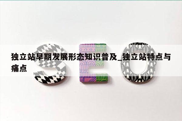 独立站早期发展形态知识普及_独立站特点与痛点