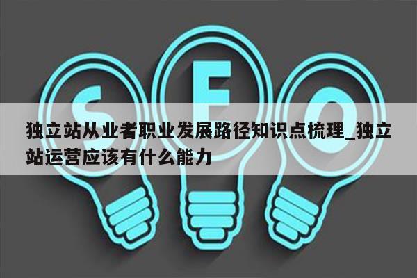 独立站从业者职业发展路径知识点梳理_独立站运营应该有什么能力