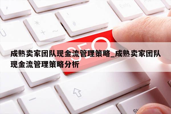 成熟卖家团队现金流管理策略_成熟卖家团队现金流管理策略分析