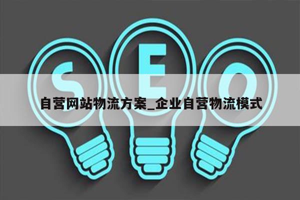 自营网站物流方案_企业自营物流模式