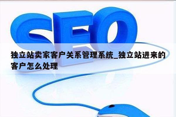 独立站卖家客户关系管理系统_独立站进来的客户怎么处理