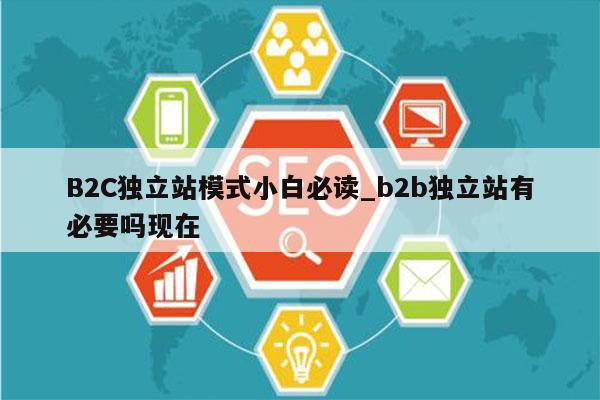 B2C独立站模式小白必读_b2b独立站有必要吗现在
