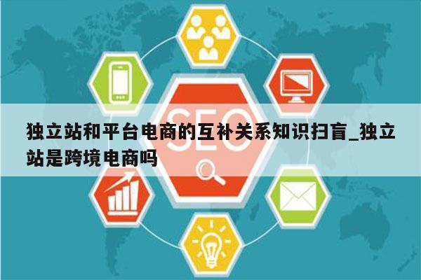 独立站和平台电商的互补关系知识扫盲_独立站是跨境电商吗