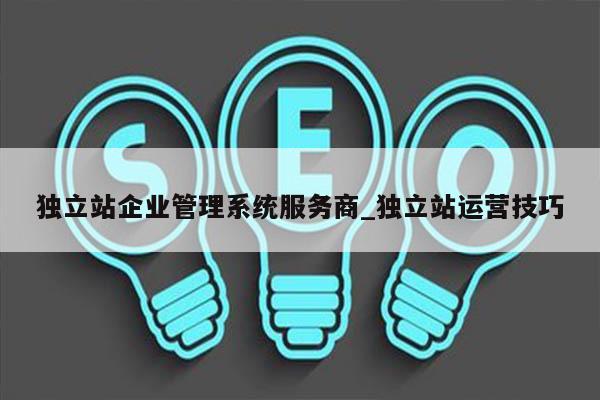 独立站企业管理系统服务商_独立站运营技巧