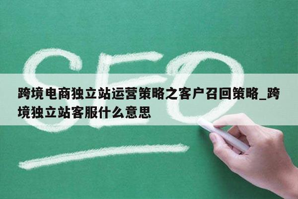 跨境电商独立站运营策略之客户召回策略_跨境独立站客服什么意思