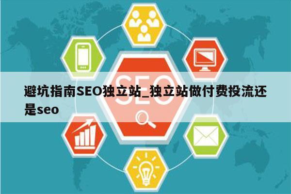 避坑指南SEO独立站_独立站做付费投流还是seo