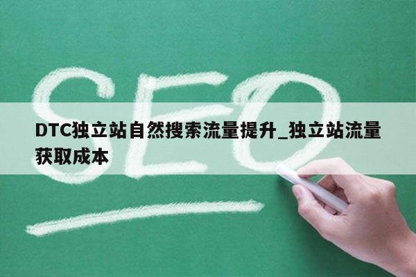 DTC独立站自然搜索流量提升_独立站流量获取成本