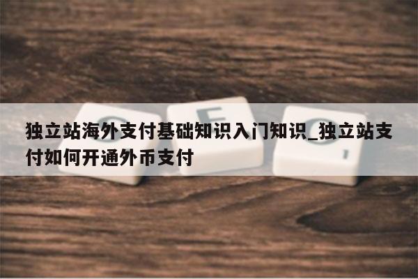 独立站海外支付基础知识入门知识_独立站支付如何开通外币支付