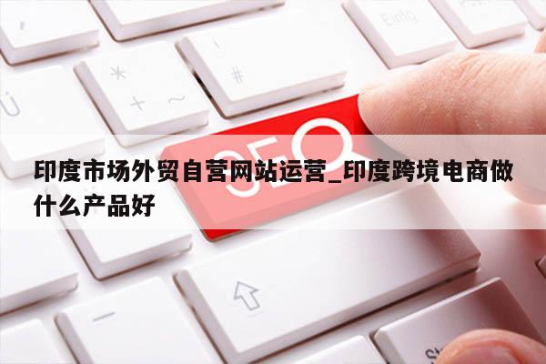 印度市场外贸自营网站运营_印度跨境电商做什么产品好
