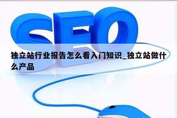 独立站行业报告怎么看入门知识_独立站做什么产品
