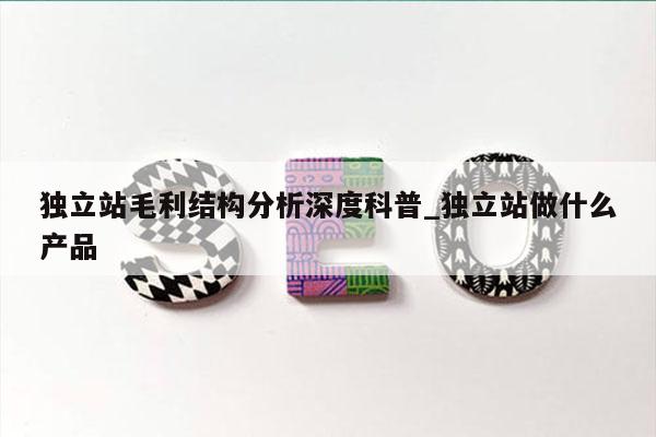 独立站毛利结构分析深度科普_独立站做什么产品