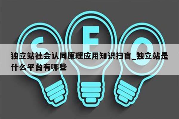 独立站社会认同原理应用知识扫盲_独立站是什么平台有哪些