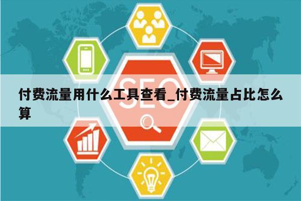付费流量用什么工具查看_付费流量占比怎么算