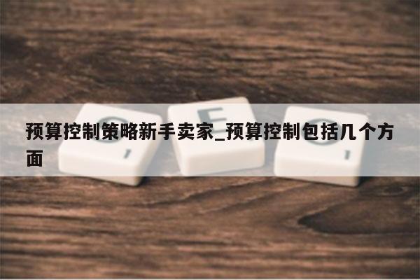 预算控制策略新手卖家_预算控制包括几个方面
