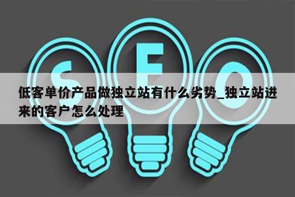 低客单价产品做独立站有什么劣势_独立站进来的客户怎么处理