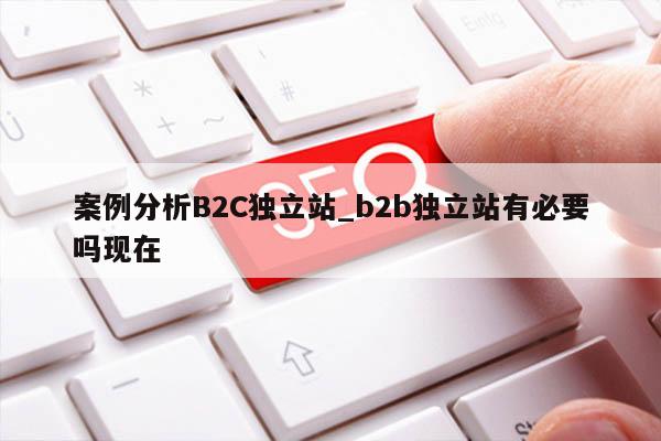 案例分析B2C独立站_b2b独立站有必要吗现在