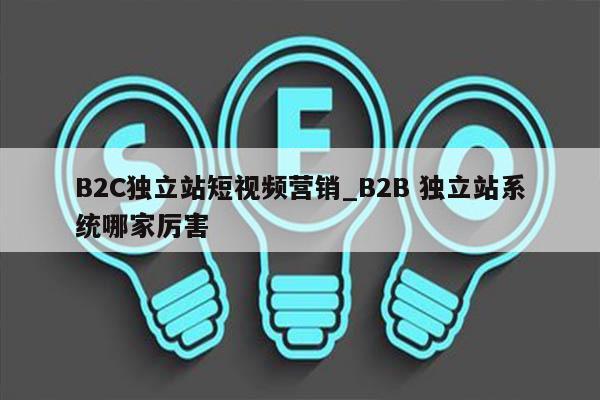 B2C独立站短视频营销_B2B 独立站系统哪家厉害