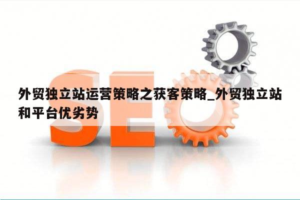 外贸独立站运营策略之获客策略_外贸独立站和平台优劣势