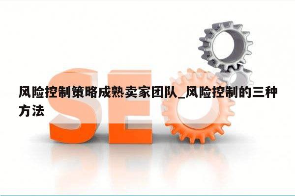 风险控制策略成熟卖家团队_风险控制的三种方法