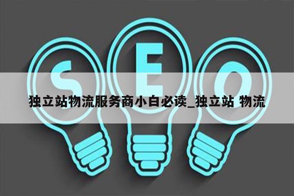 独立站物流服务商小白必读_独立站 物流