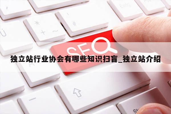 独立站行业协会有哪些知识扫盲_独立站介绍